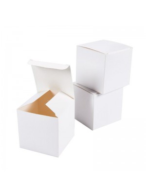 White Carton Box
